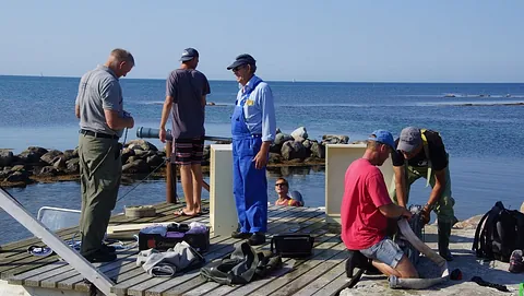 Besøg på Nordre Rønner